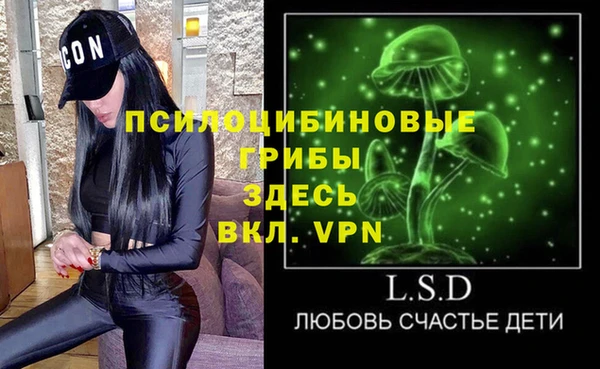 ГАЛЛЮЦИНОГЕННЫЕ ГРИБЫ Богородицк