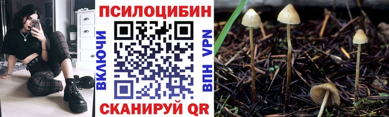 Псилоцибиновые грибы ЛСД Дедовск
