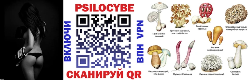 Псилоцибиновые грибы мухоморы  МЕГА как зайти  сайты даркнета какой сайт  Дедовск 